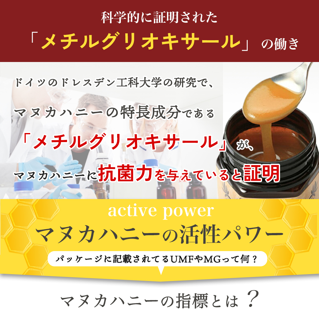 ヴェーダヴィマヌカハニー 