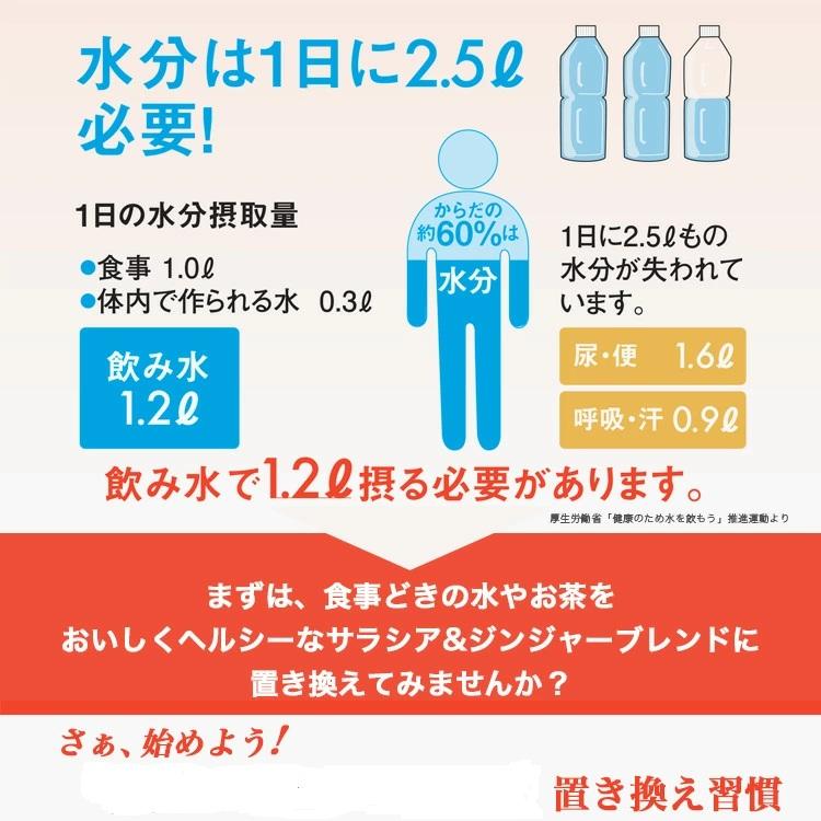 ヴェーダヴィサラシア ジンジャー