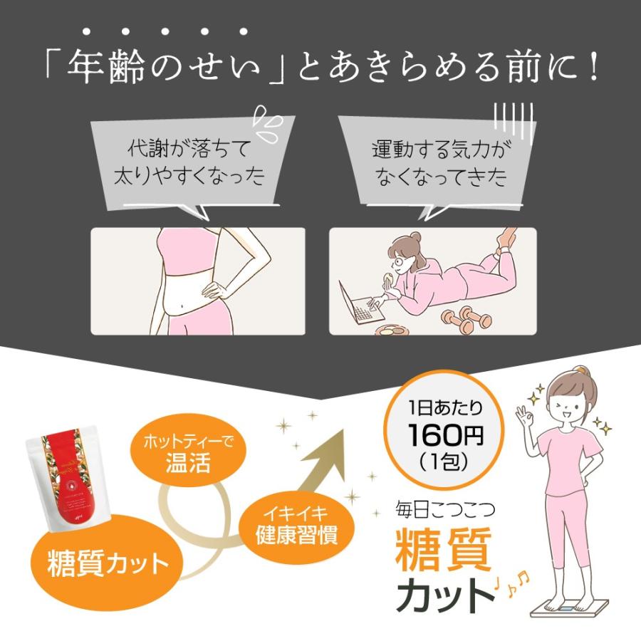 ヴェーダヴィサラシア ジンジャー