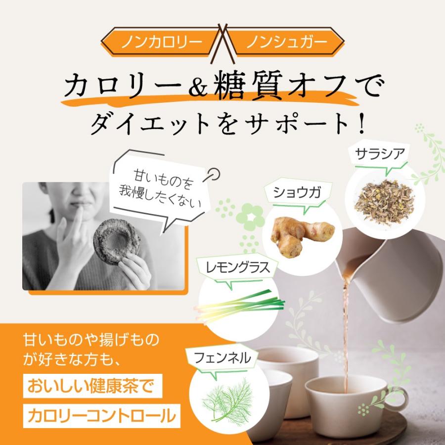 ヴェーダヴィサラシア ジンジャー