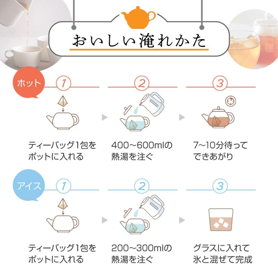 ヴェーダヴィサラシア ジンジャー