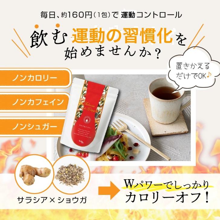 ヴェーダヴィサラシア ジンジャー