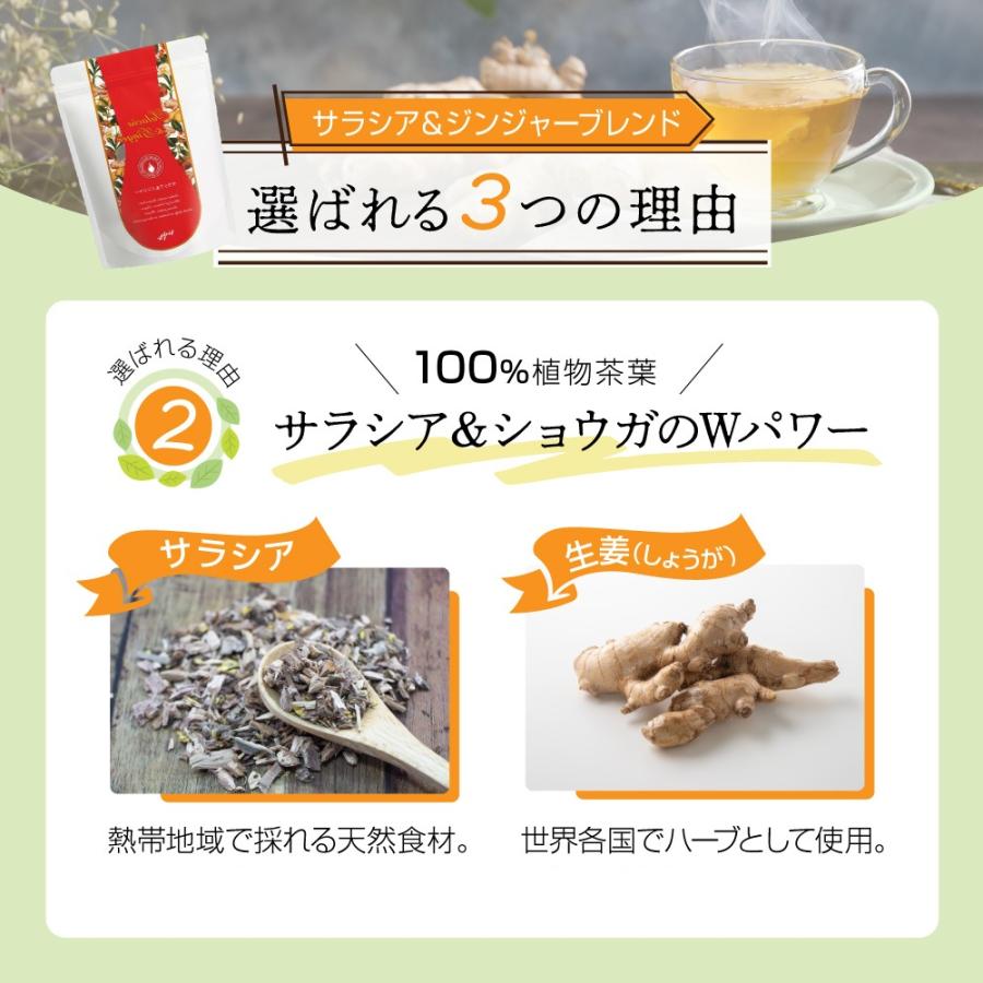 ヴェーダヴィサラシア ジンジャー