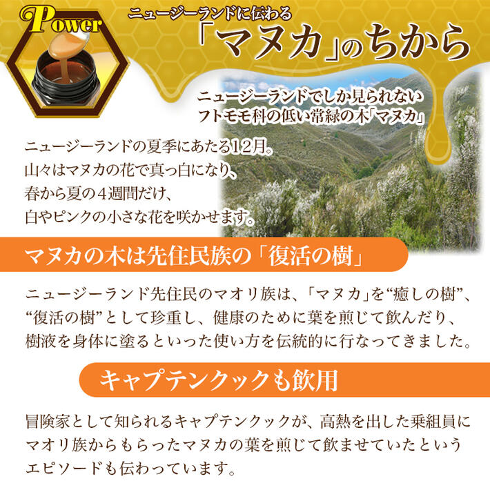 ヴェーダヴィ 特別な蜂蜜マヌカハニー