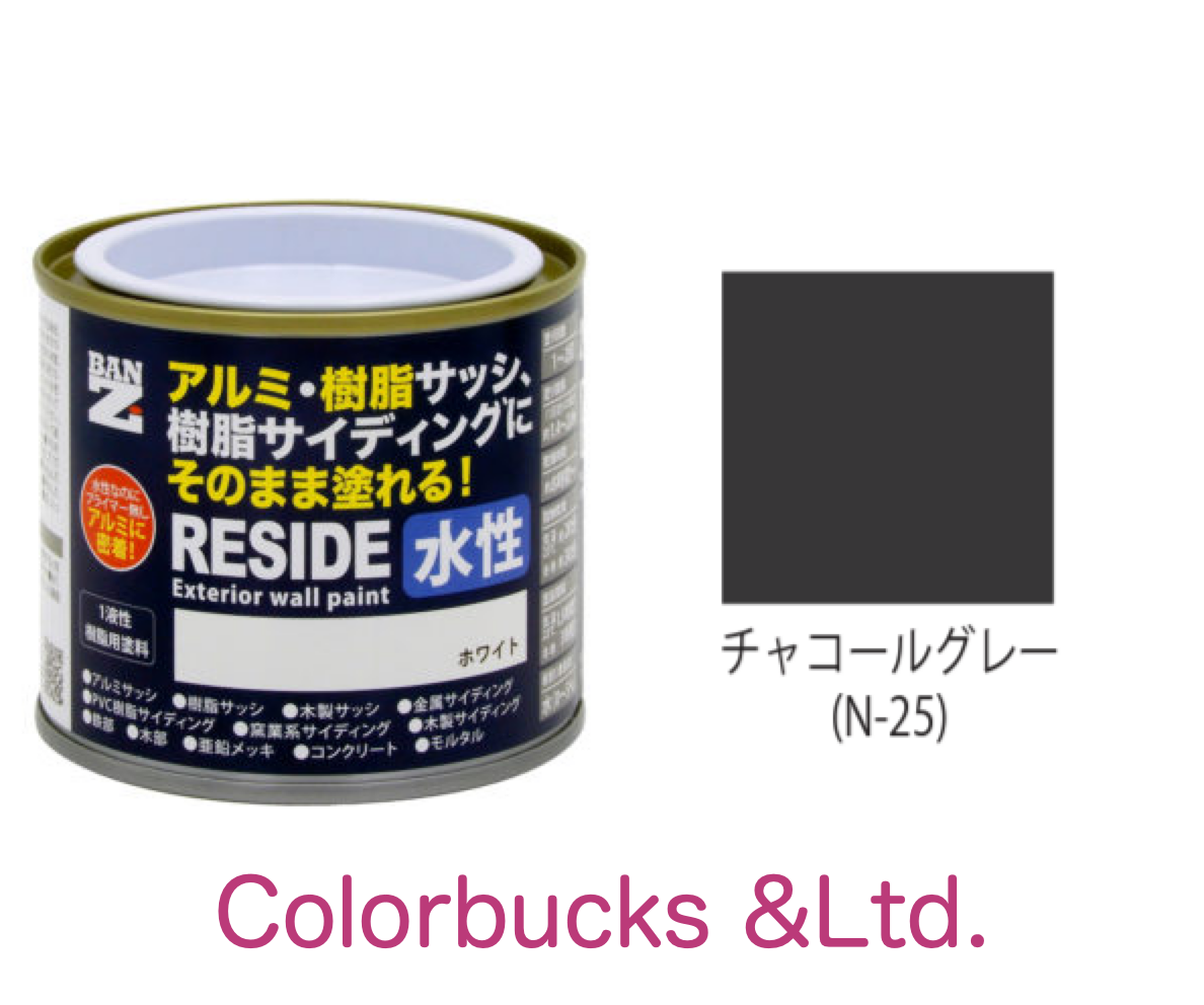 BAN-ZI RESIDE チャコールグレー N-25相当 200g プライマーなしで樹脂