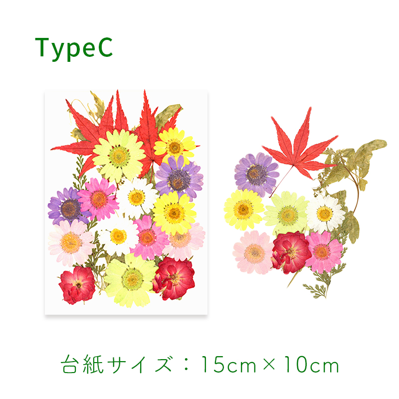 ドライフラワー 押し花 花材 ブーケ デコパーツ ハーバリウム プレスド