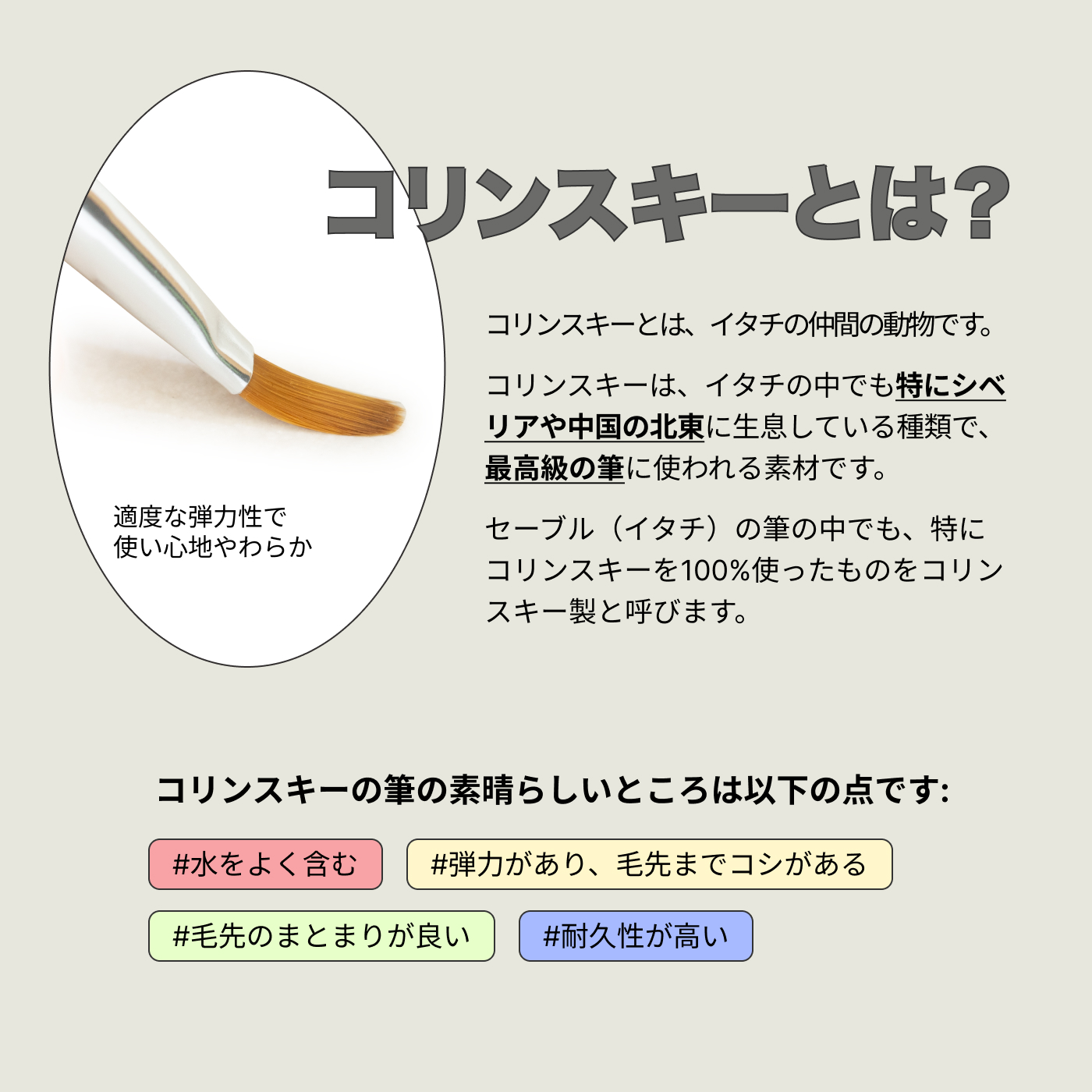 アクリル用コリンスキーブラシキャップ付き5サイズセット