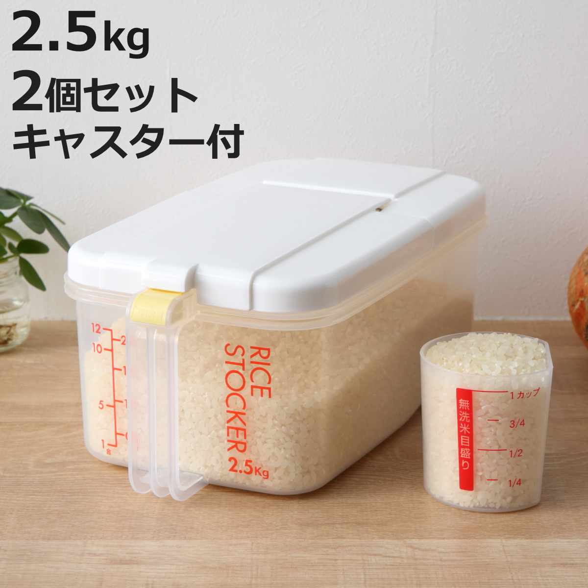 スケーター 米びつ 冷蔵庫用米びつ 横型 2.5kg 2個セット （ 計量