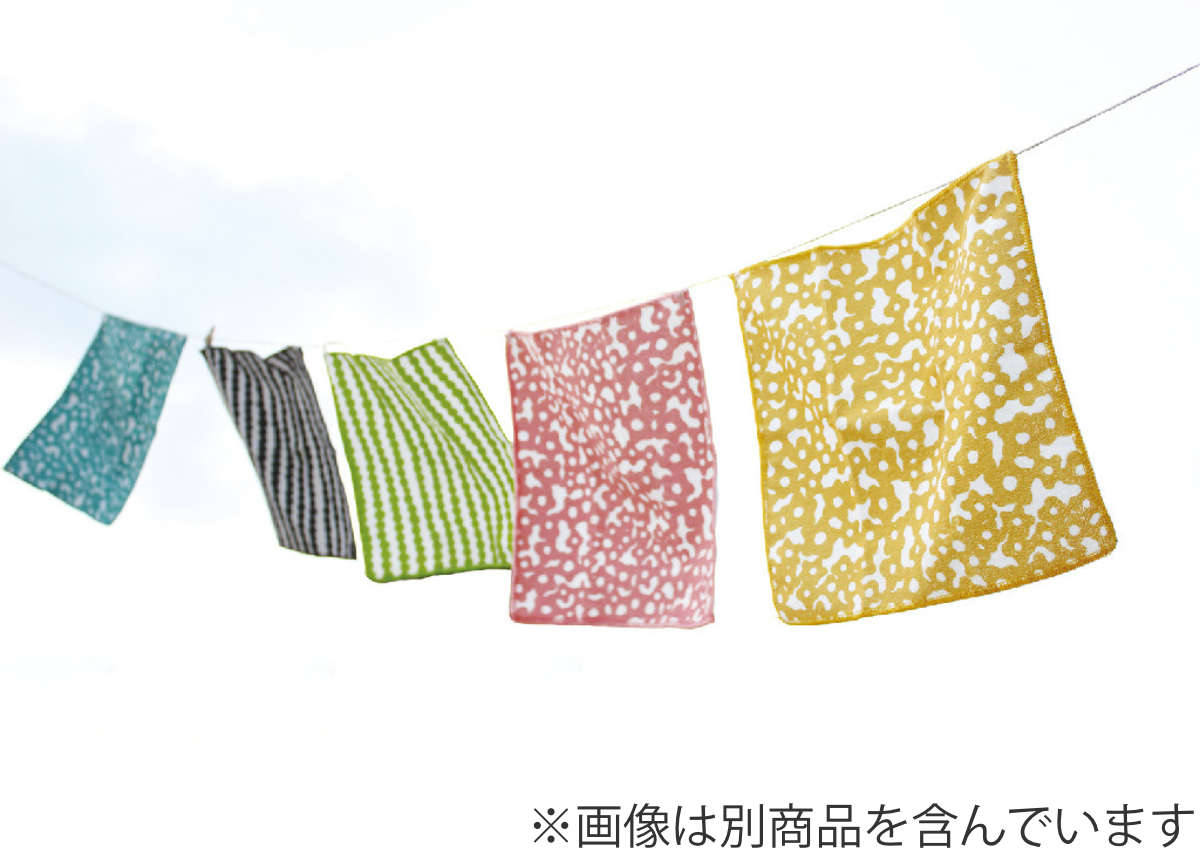 SPICE of Life（スパイス オブ ライフ） マイクロファイバー 3枚セット