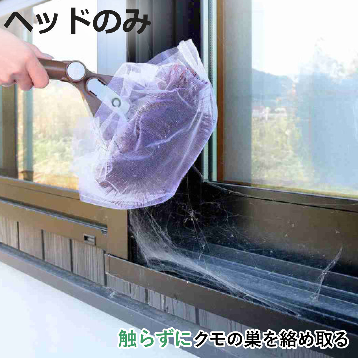 蜘蛛 の 巣 除去