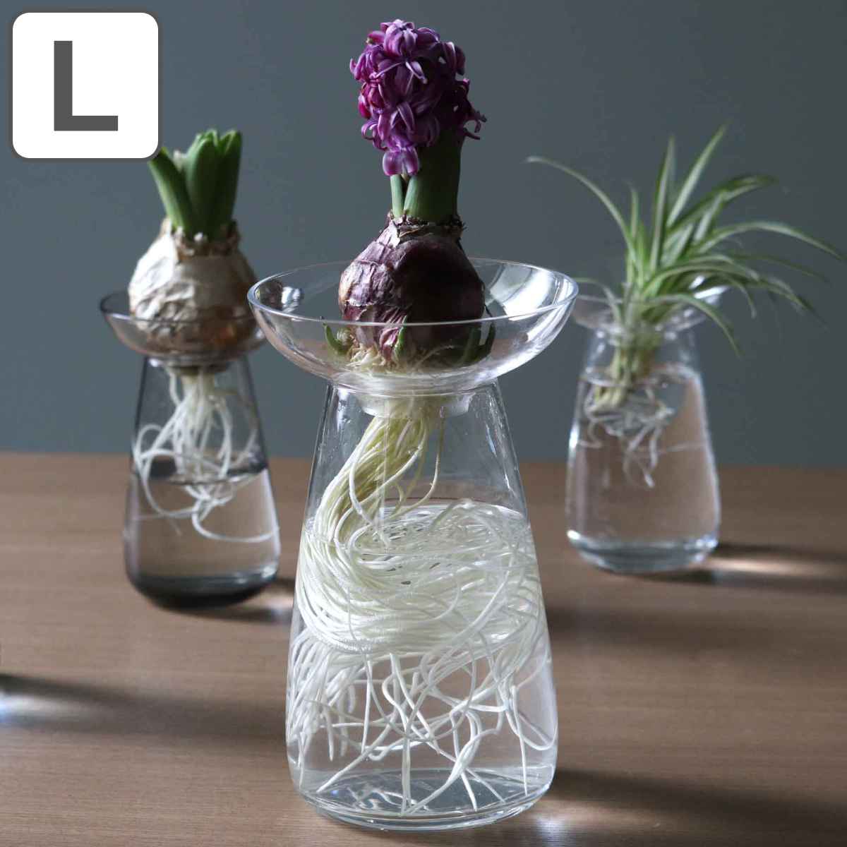 キントー 花器 Aqua Culture Vase Lサイズ ガラス 花瓶 おしゃれ Kinto フラワーベース 一輪挿し 花 グリーン 栽培 ハーブ お弁当グッズのカラフルボックス 通販 Yahoo ショッピング