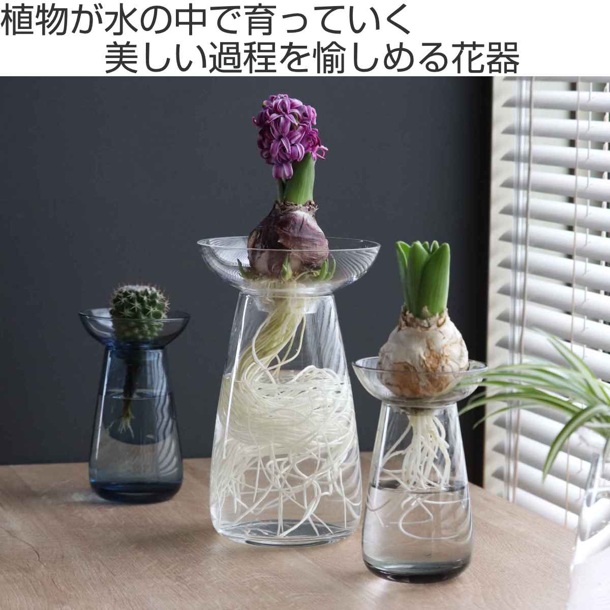 KINTO キントー アクアカルチャーベース ...の詳細画像1