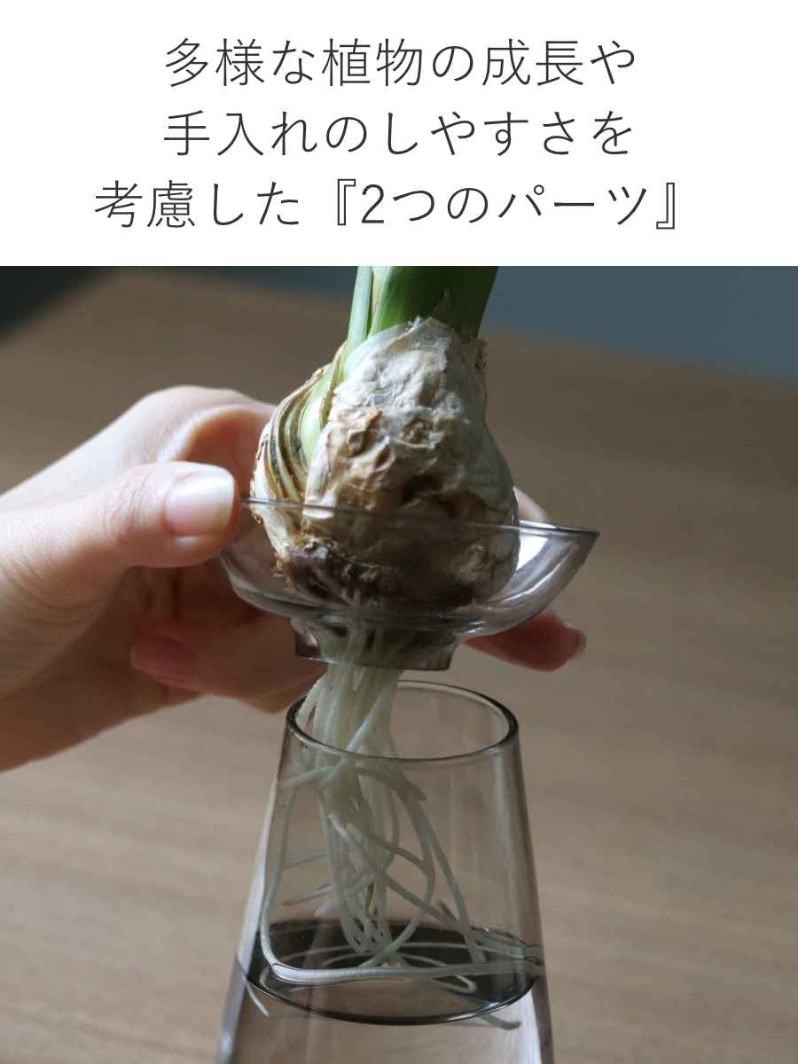 KINTO キントー アクアカルチャーベース ...の詳細画像3