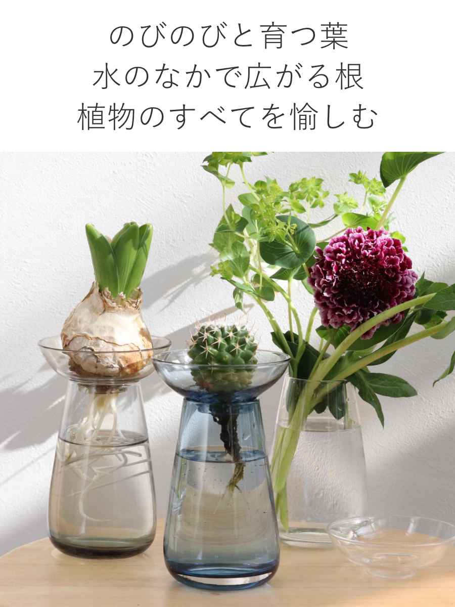 KINTO キントー アクアカルチャーベース ...の詳細画像5