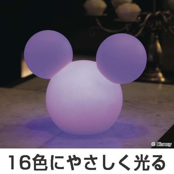 ☆Disney 空とぶ くまのプーさん ブローライト イルミネーション