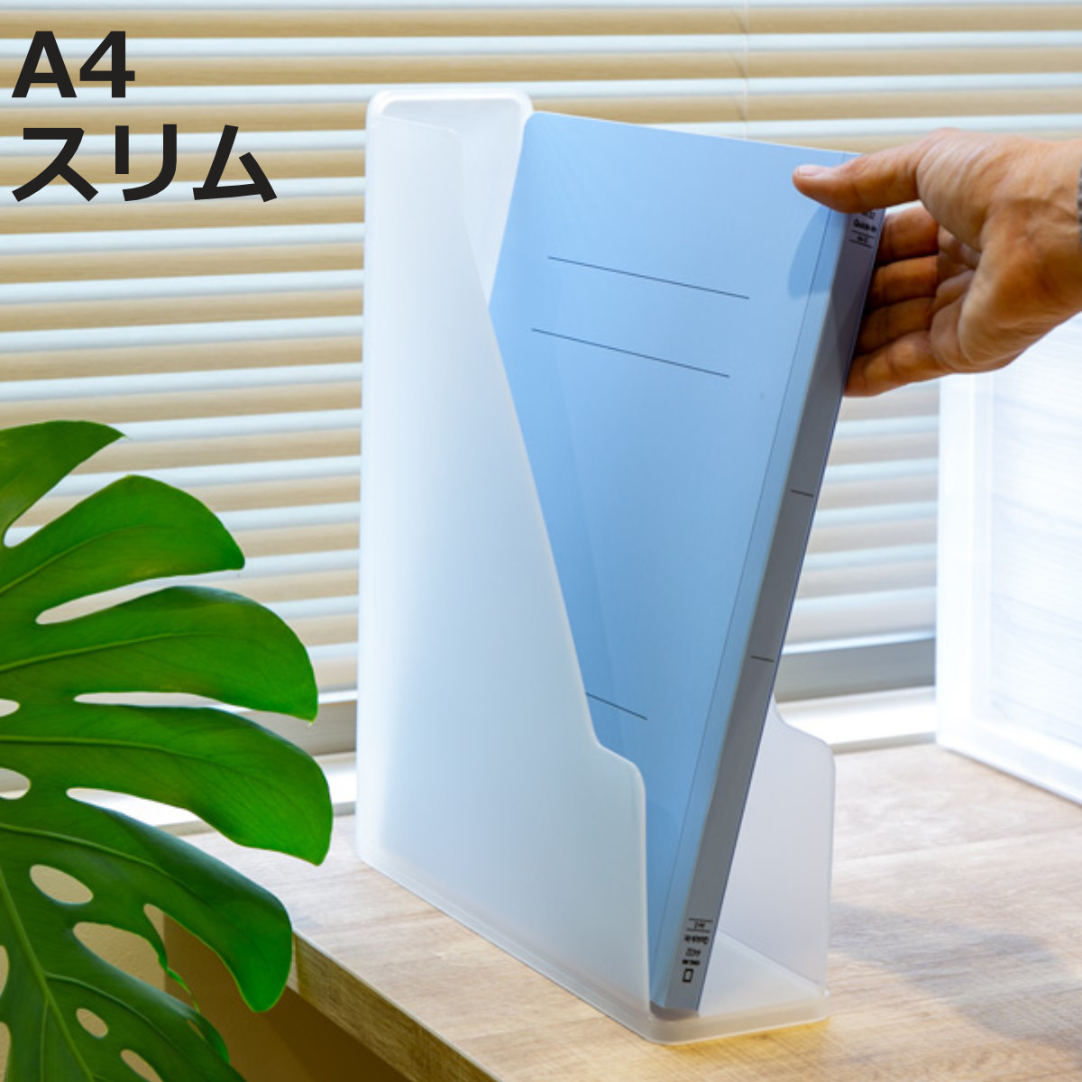 SANKA ファイルスタンド A4 スリム 書類収納 半透明 squ＋ ナチュラ