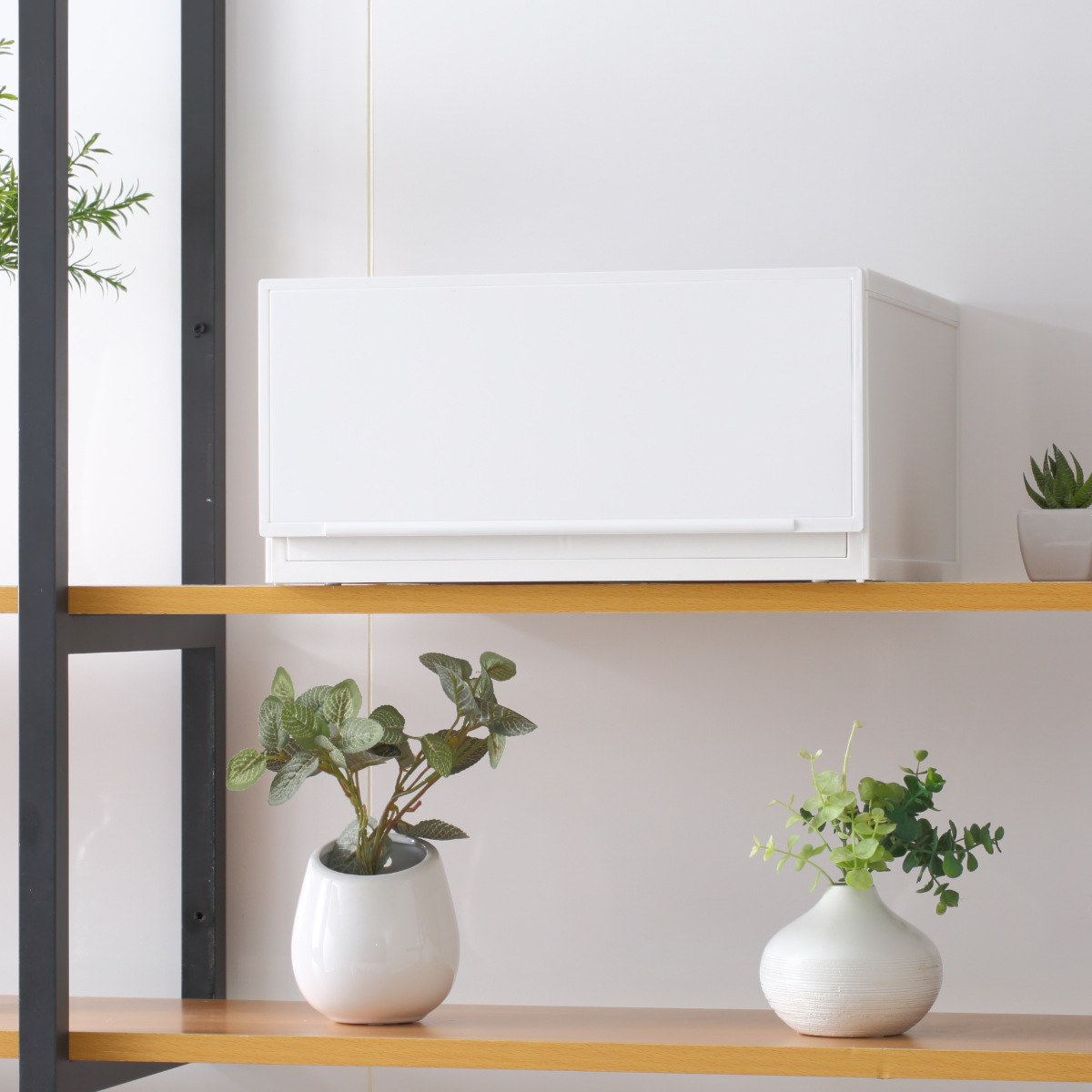 SANKA 収納ケース 幅37.6×奥行35.8×高さ18.8cm コレクトケース Mワイド