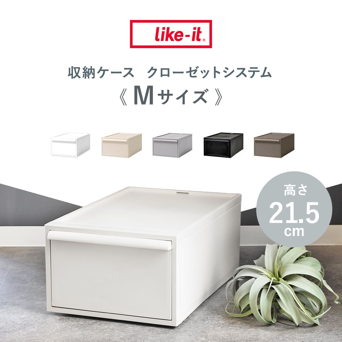 特典付き 収納ケース 引き出し M 幅32×奥...の詳細画像2