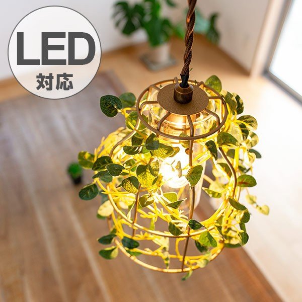 285014.jpg 285014.jpg