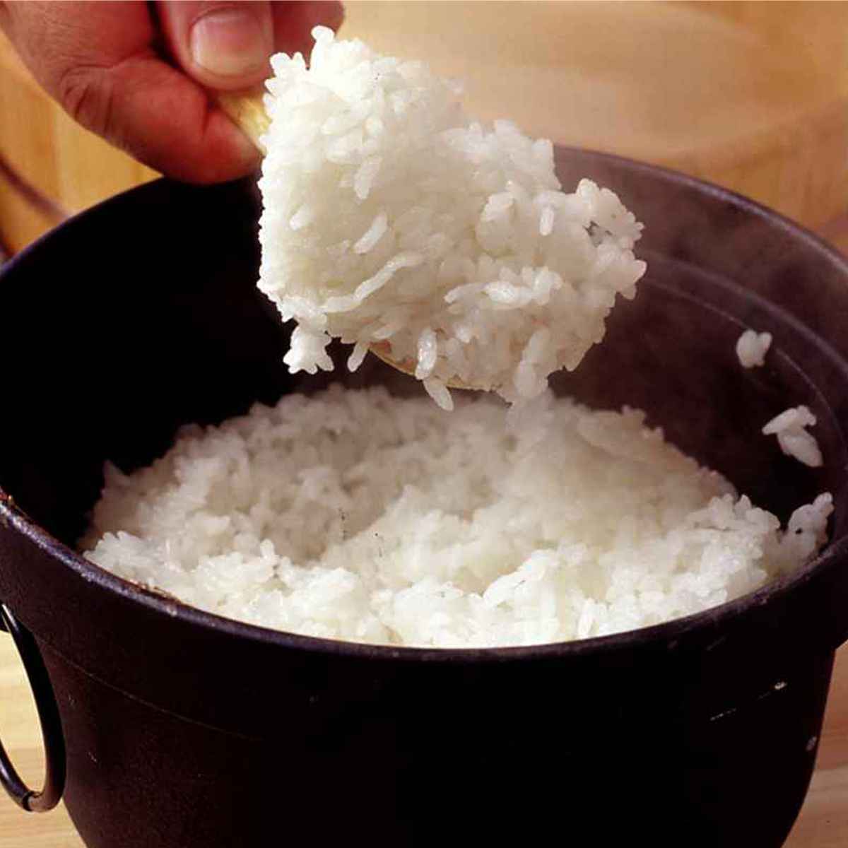池永鉄工 炊飯鍋 3合 IH対応 鉄釜 南部鉄器 日本製 （ ガス火対応 3合