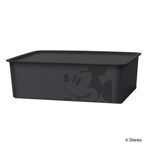 Disney（ディズニー） 収納ボックス フタ付き レギュラーサイズ