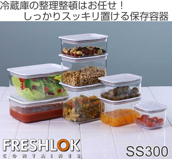 TAKEYA（タケヤ） 保存容器 フレッシュロックコンテナ SS 300ml
