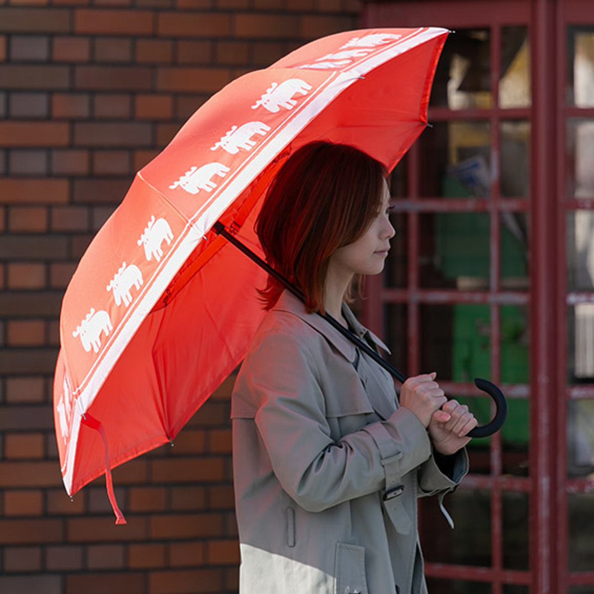 ② RRR　傘部分 kasa_kouzou1_400.gif