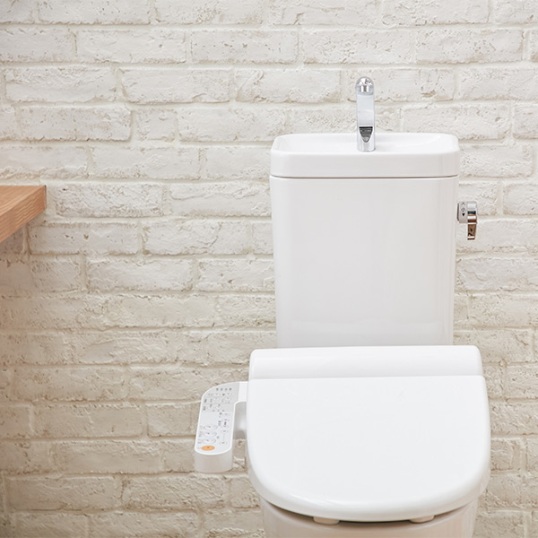 トイレタンクの洗浄剤 8回分 35g クラフト...の詳細画像4