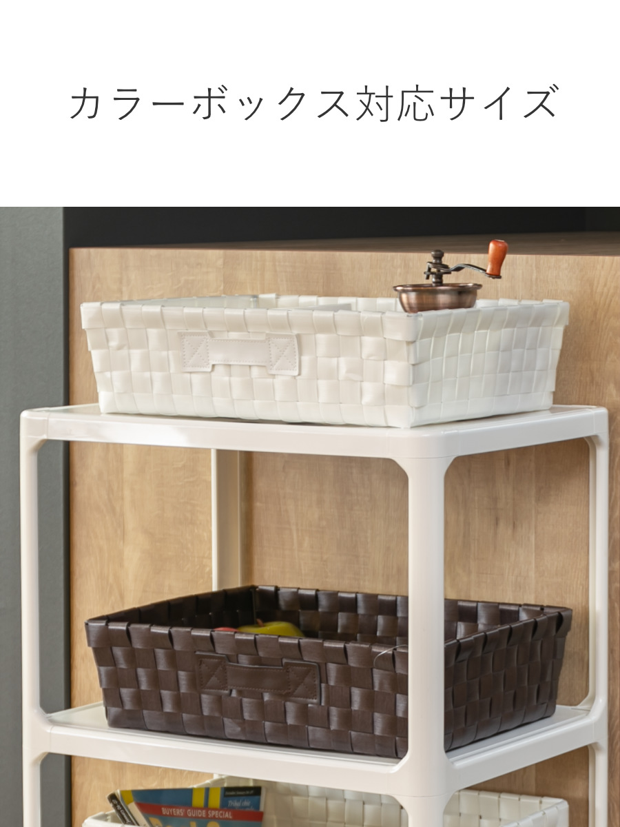 ちどり産業 バスケット PEバスケット 幅36×奥行26×高さ10cm 収納かご