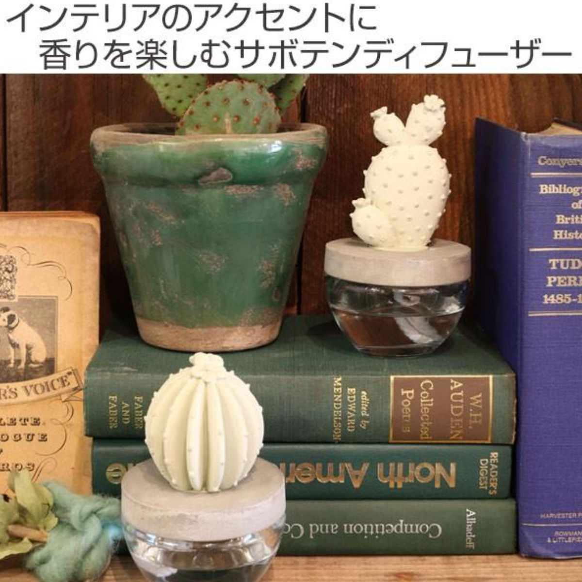 ディフューザー ダルトン DULTON カクタ...の詳細画像1