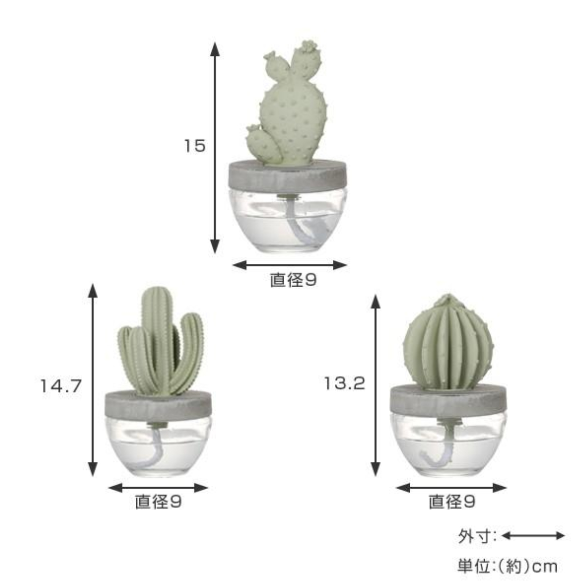 ディフューザー ダルトン DULTON カクタ...の詳細画像3
