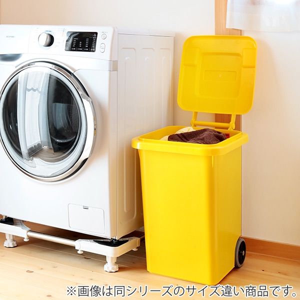 DULTON（ダルトン） ゴミ箱 65L 屋外兼用トラッシュカン （ ごみ箱 65 