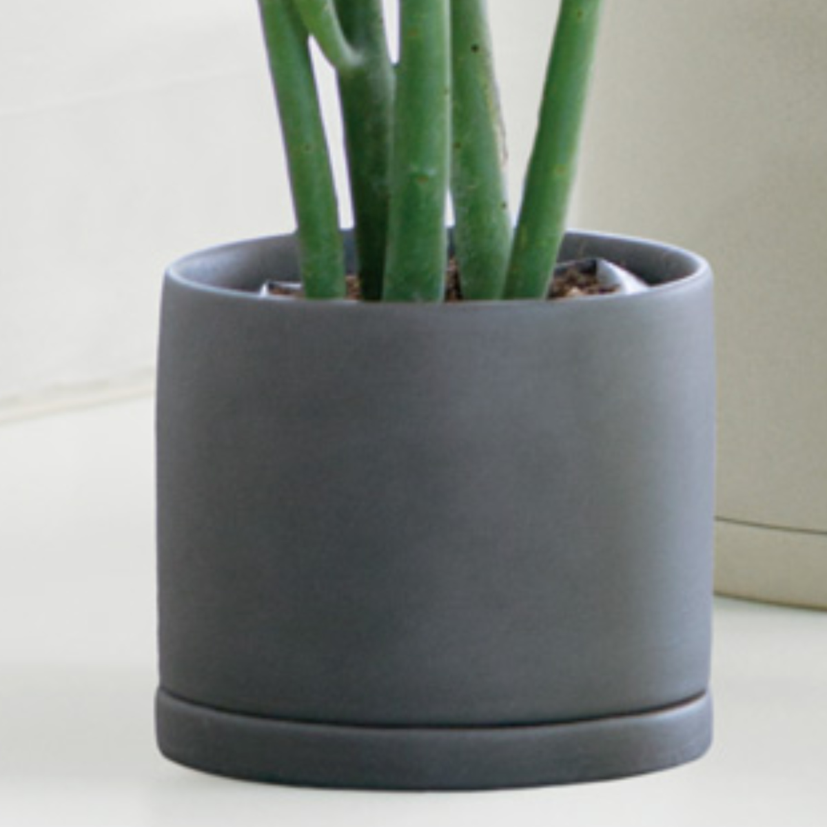 KINTO（キントー） プランター 8.5cm プラントポット 磁器 （ 植木鉢