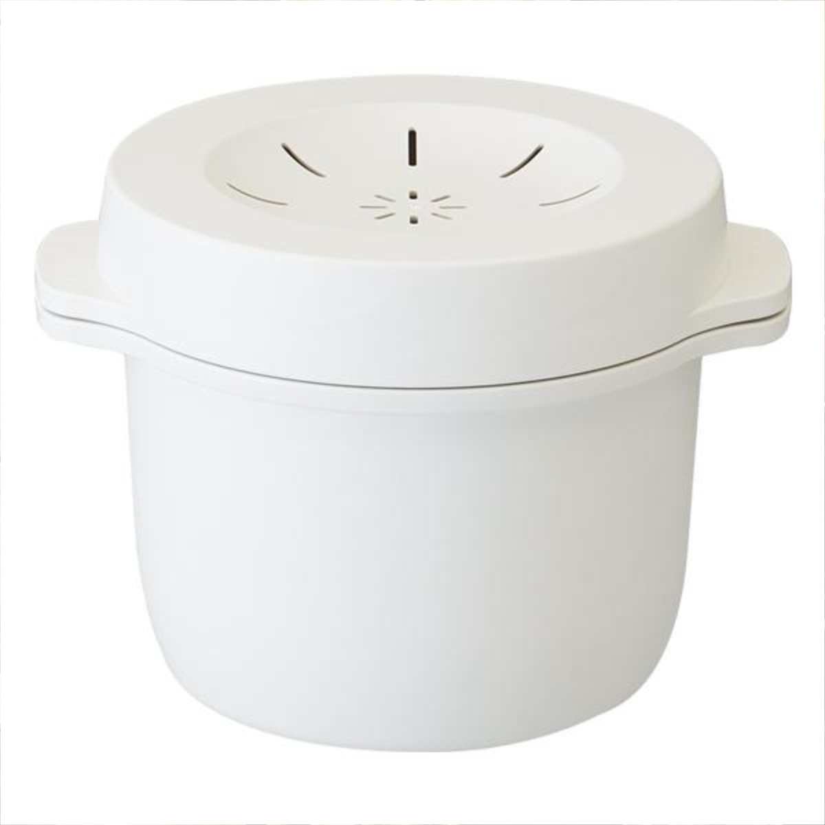 スケーター 電子レンジ 炊飯器 1合 電子レンジスチームご飯メーカー