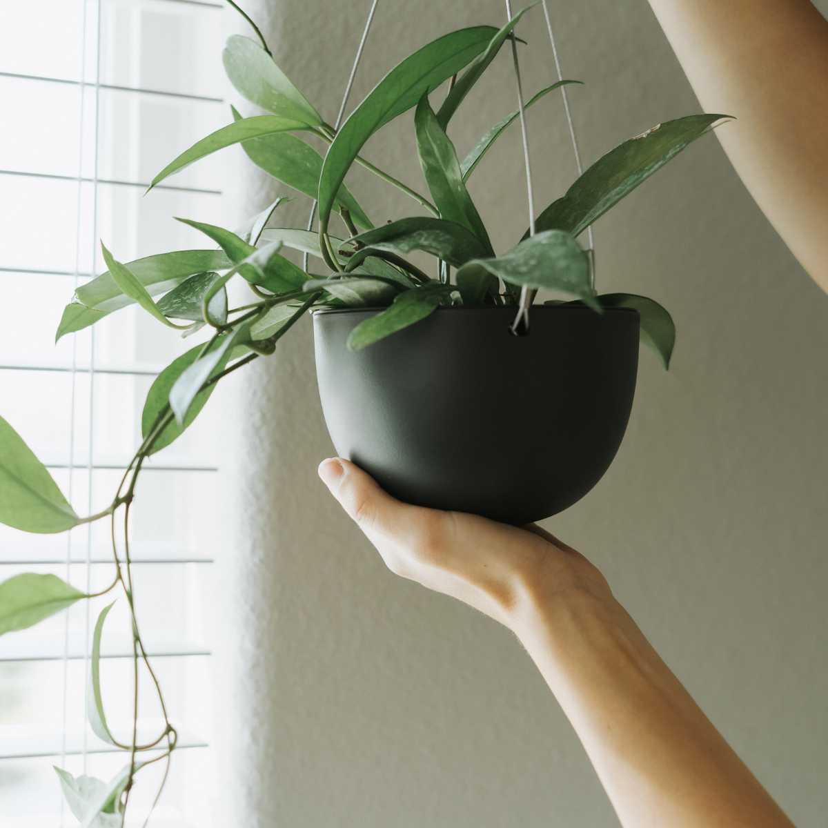 KINTO（キントー） プラントポット 201_ 174mm （ 植木鉢 17.4cm 6号