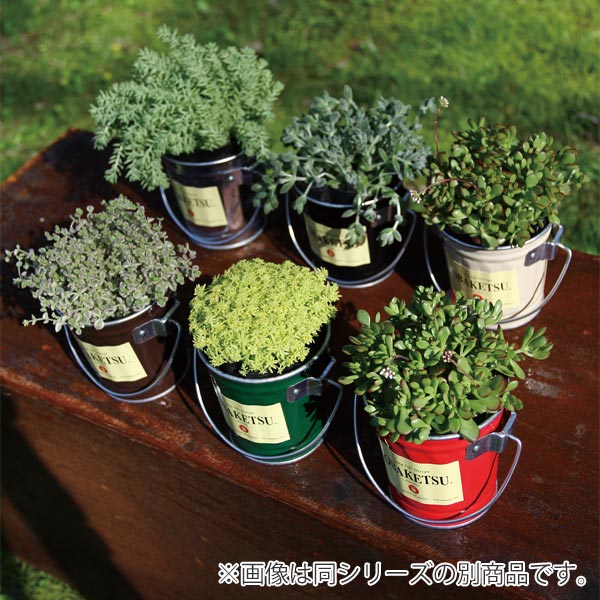 バケツ 1L ミニオバケツ ふた付き オバケツ...の詳細画像1