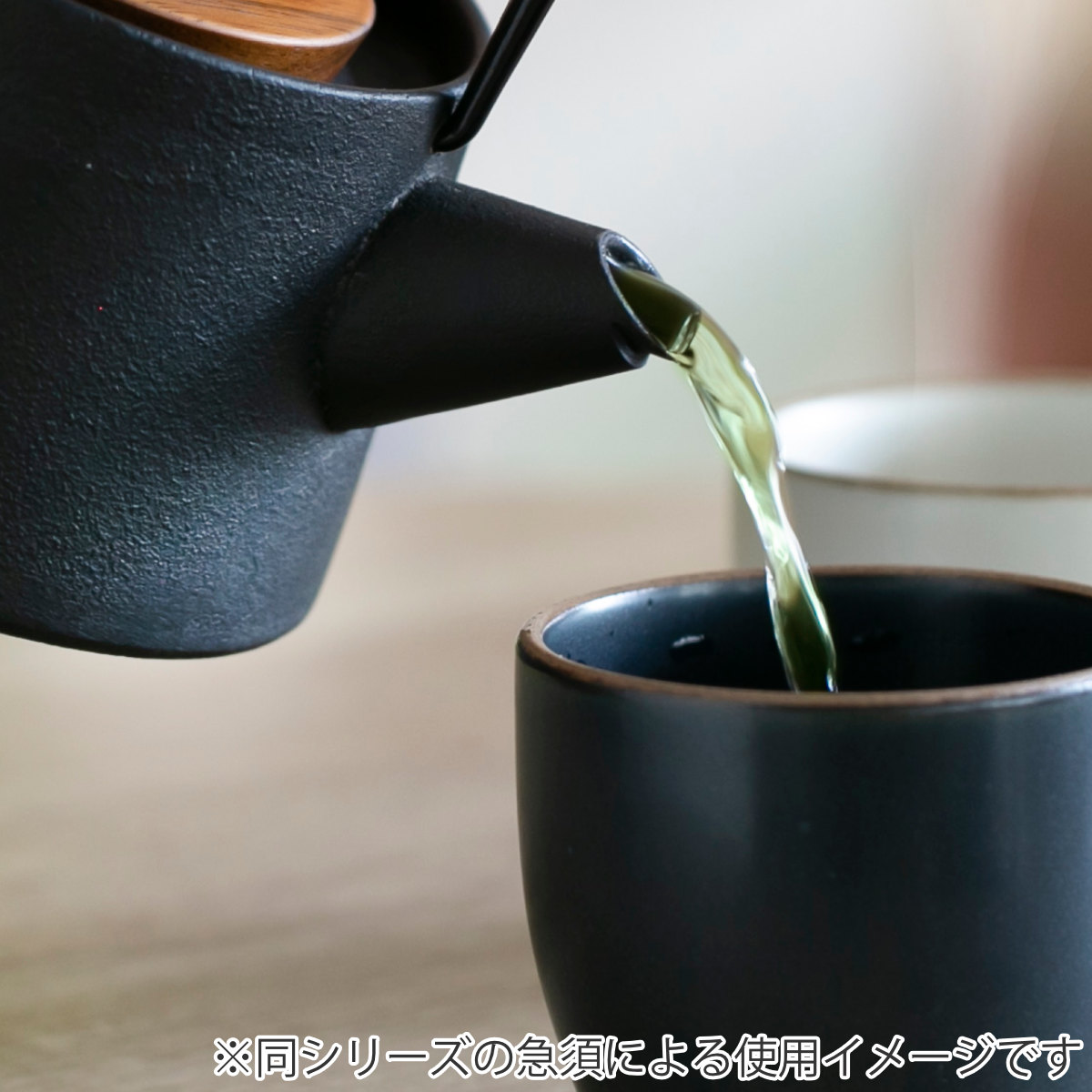 池永鉄工 鉄瓶 1L IH対応 tetu 南部鉄器 日本製 （ ガス火対応 やかん