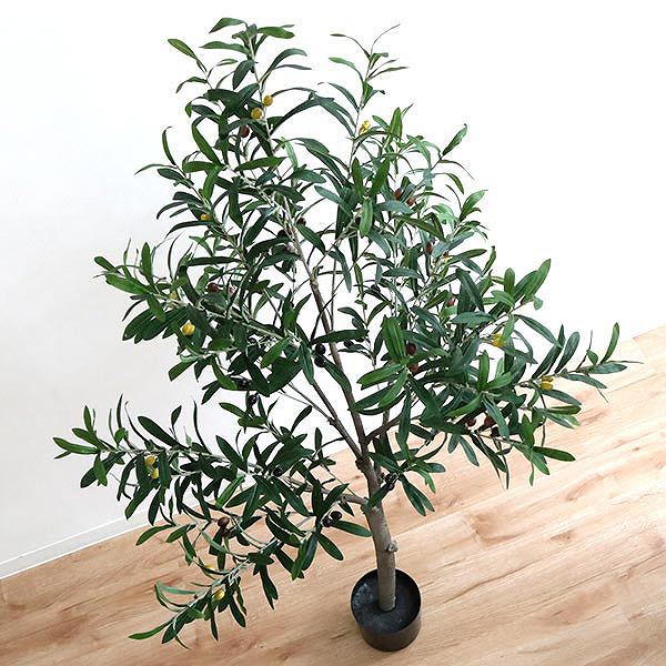 人工観葉植物 オリーブ 152cm フェイクグリーン 造花 （ 観葉植物 フェイク 人工植物 アートグリーン ）の画像