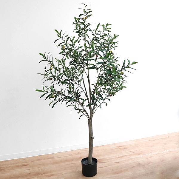 人工観葉植物 オリーブ 152cm フェイクグリーン 造花 （ 観葉植物 フェイク 人工植物 アートグリーン ）の画像