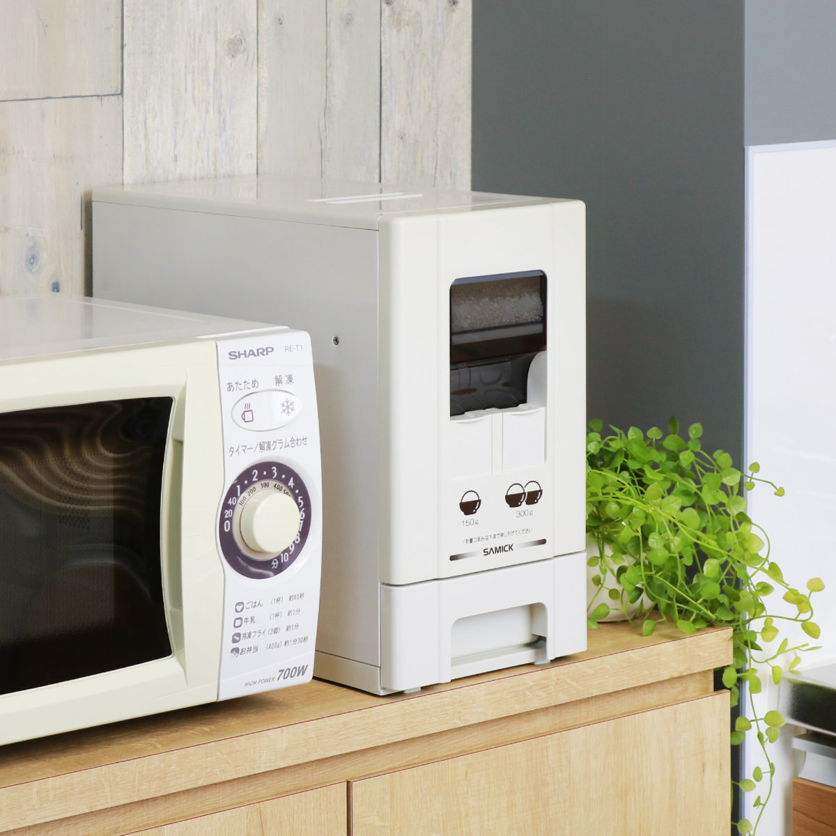 米びつ 1合計量 5kg用 無洗米対応 コンパクトライスディスペンサー 6kg