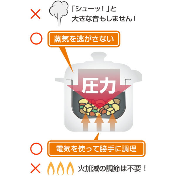 ワンダーシェフ 電気圧力鍋 3L マイコン やわらかさん OEDE30 普通食