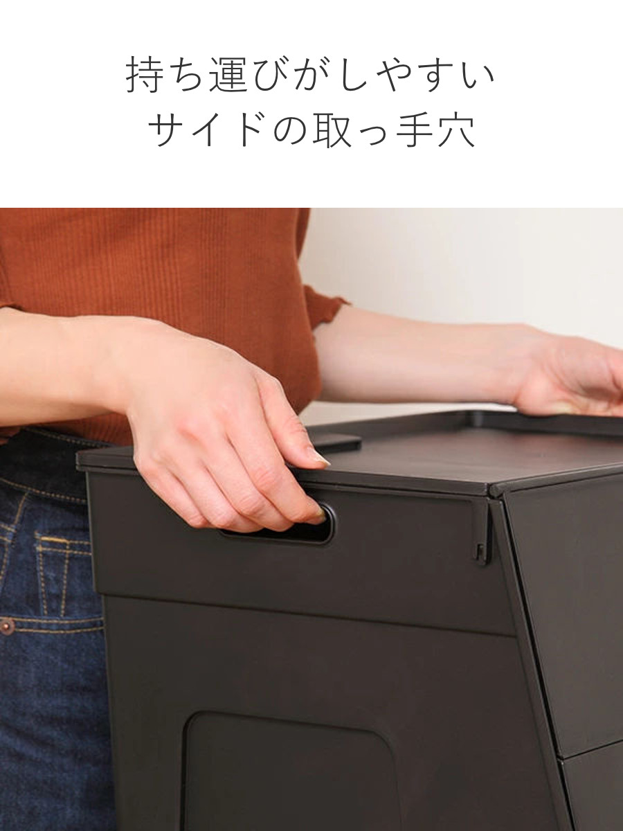 SANKA 収納ケース フタ付き 前開き ビッグエル 3個セット 幅44.5×奥行