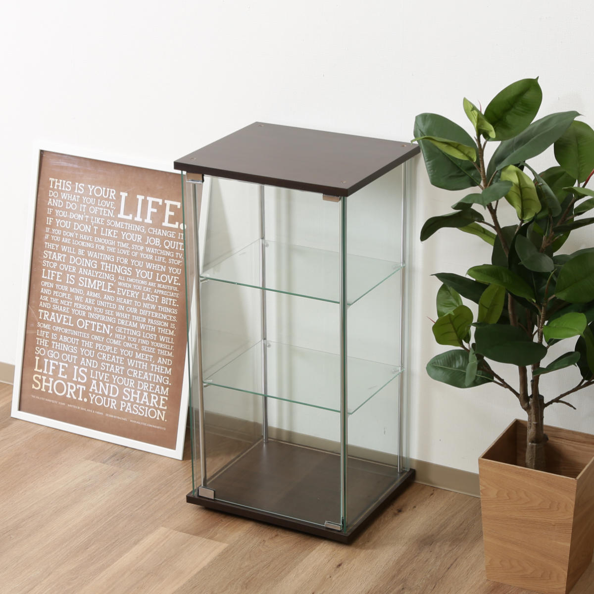 不二貿易（Fuji Boeki） ショーケース 幅42.5cm 3段 コレクション