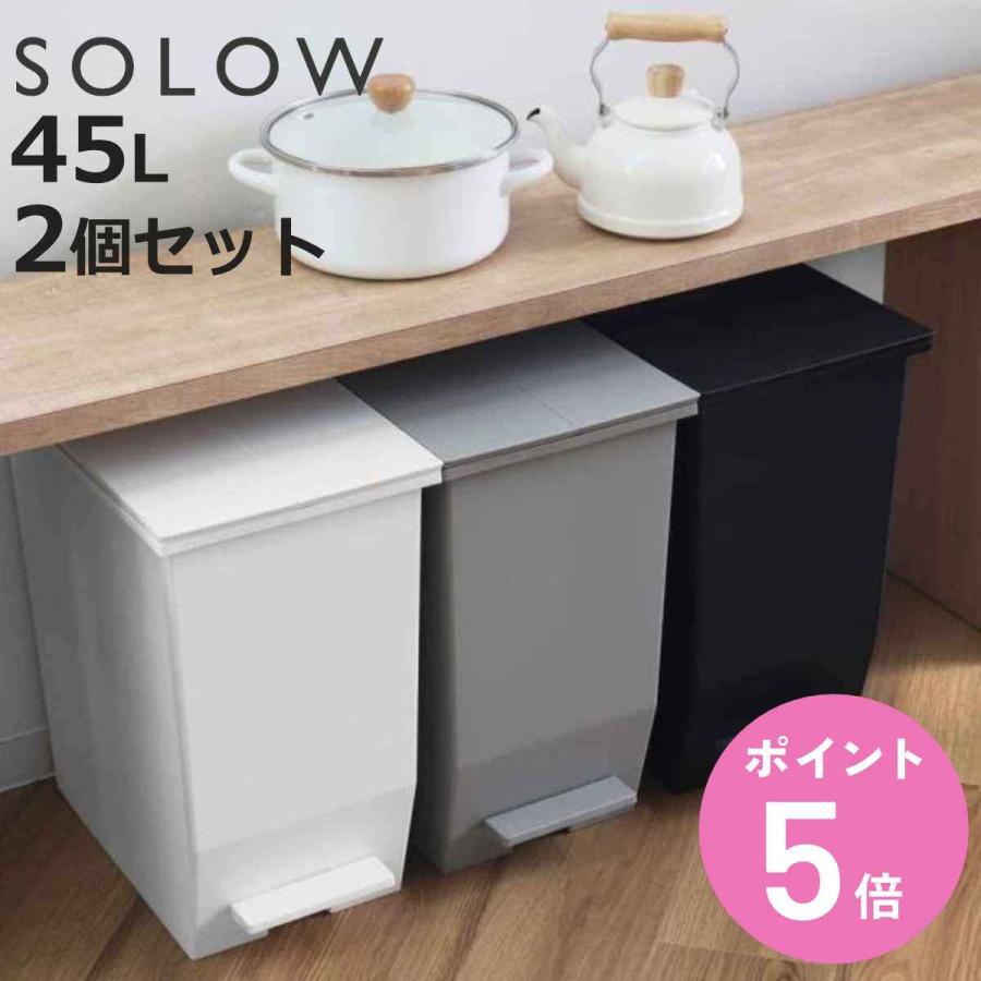 RISU（リス） 特典付き ゴミ箱 45L SOLOW ソロウ 同色2個セット ペダル