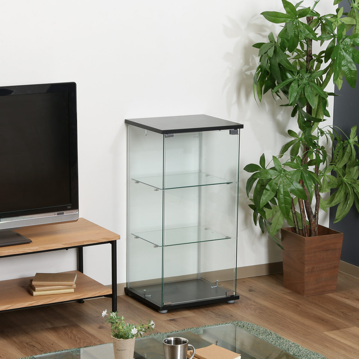 不二貿易（Fuji Boeki） コレクションケース 3段 幅42.5cm 4面ガラス