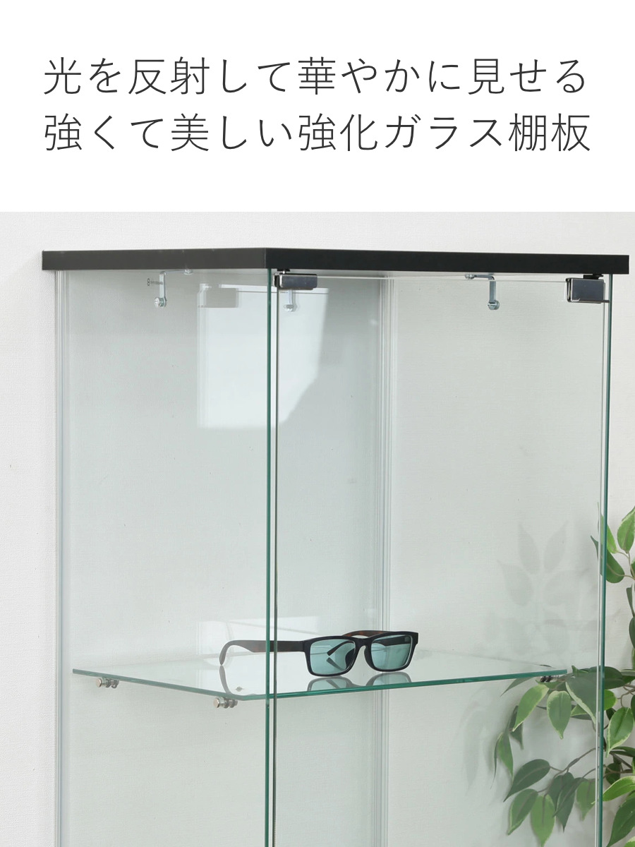 不二貿易（Fuji Boeki） コレクションケース 3段 幅42.5cm 4面ガラス