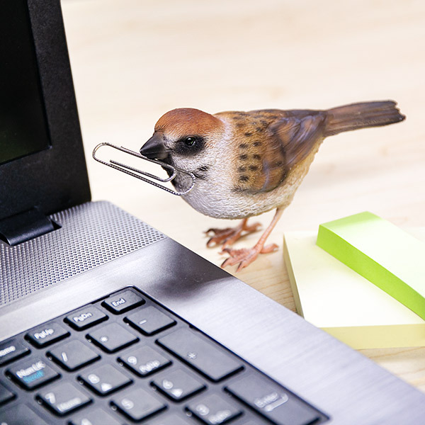 magnet オブジェ BIRDIE BILL スズメ マグネット付き （ 置き物 置物