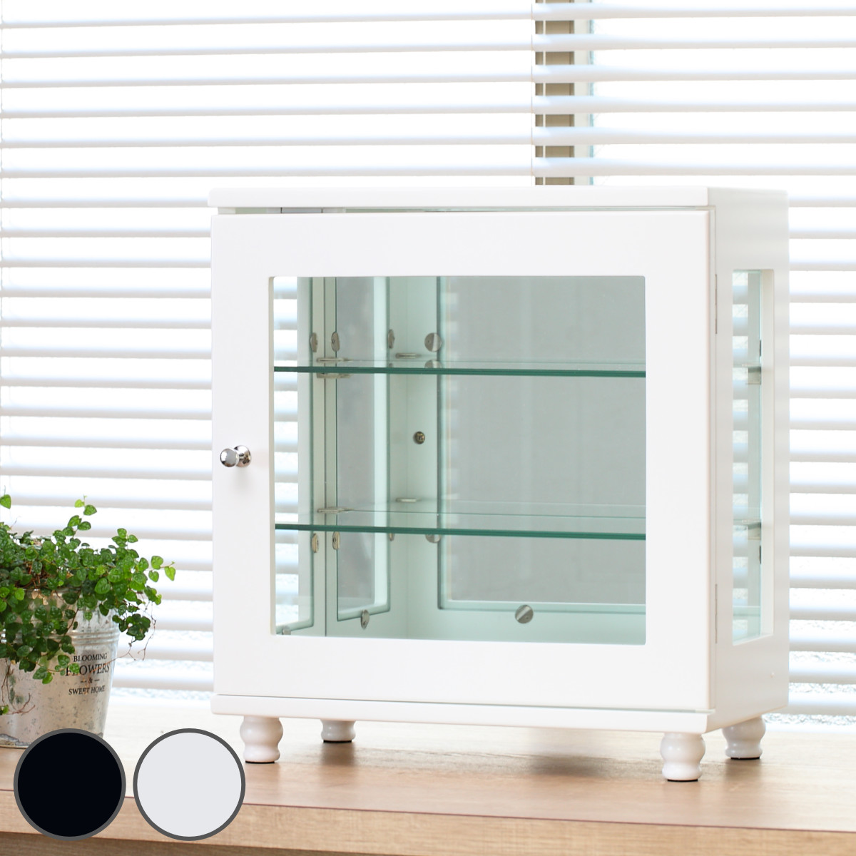 ミヤグチ企販 ミニコレクションラック ショーケース ワイドタイプ 幅