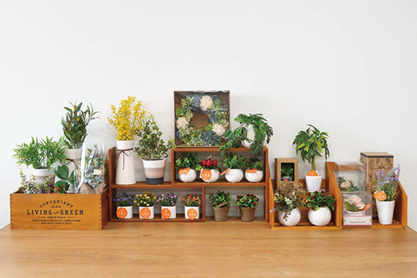 ブックスタンド スライド式 2段 本棚 （ 卓上 木製 伸縮 ラック ブック