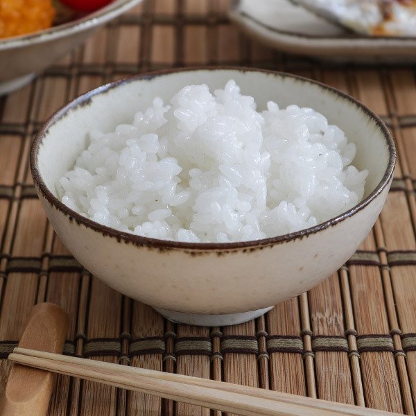 �јq 11cm COTON ���q �H�� �m�H�� �a�H�� ���� ���{�� �i �H��@�Ή� �d�q�����W�Ή� �����q ����� �ϔM �I�[�u���Ή� �j